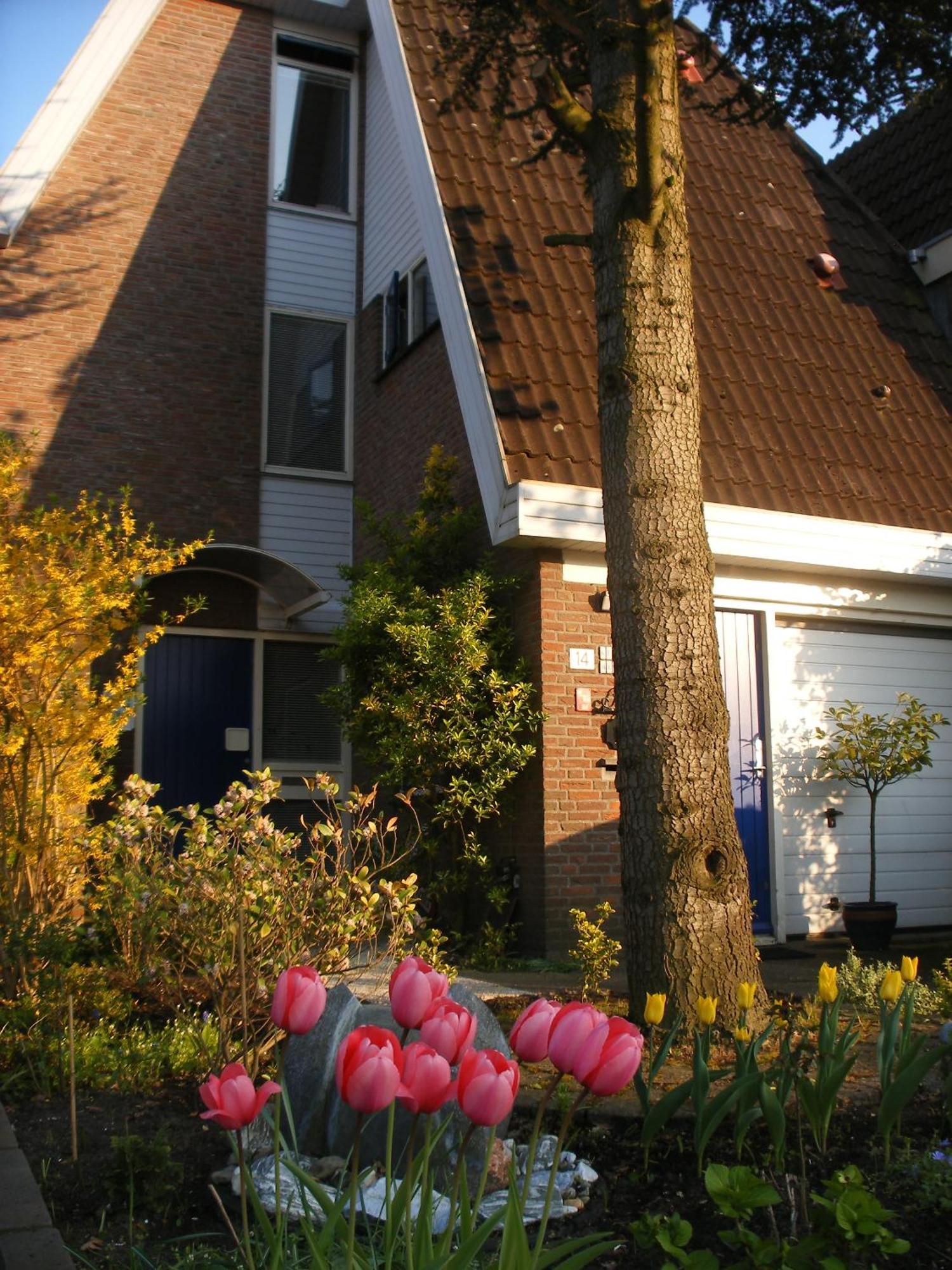 B&B-Edam Esterno foto