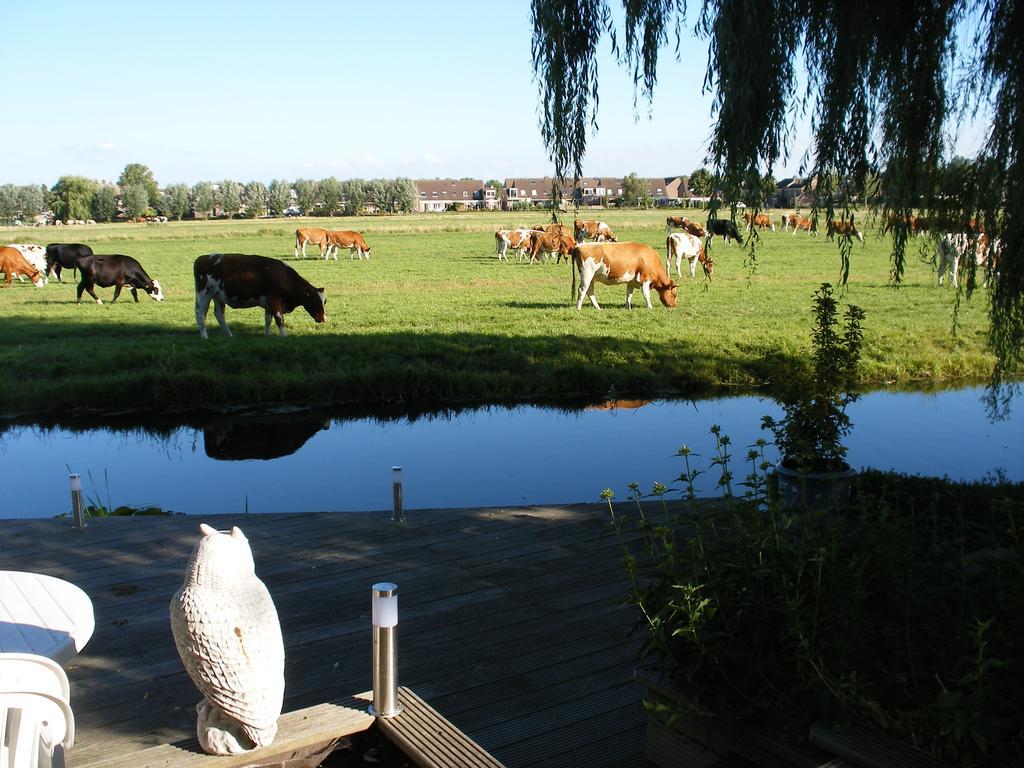 B&B-Edam Esterno foto