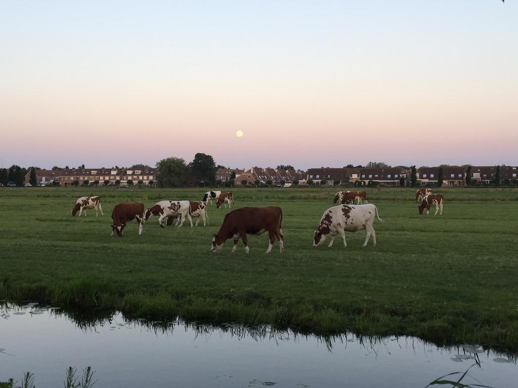 B&B-Edam Esterno foto